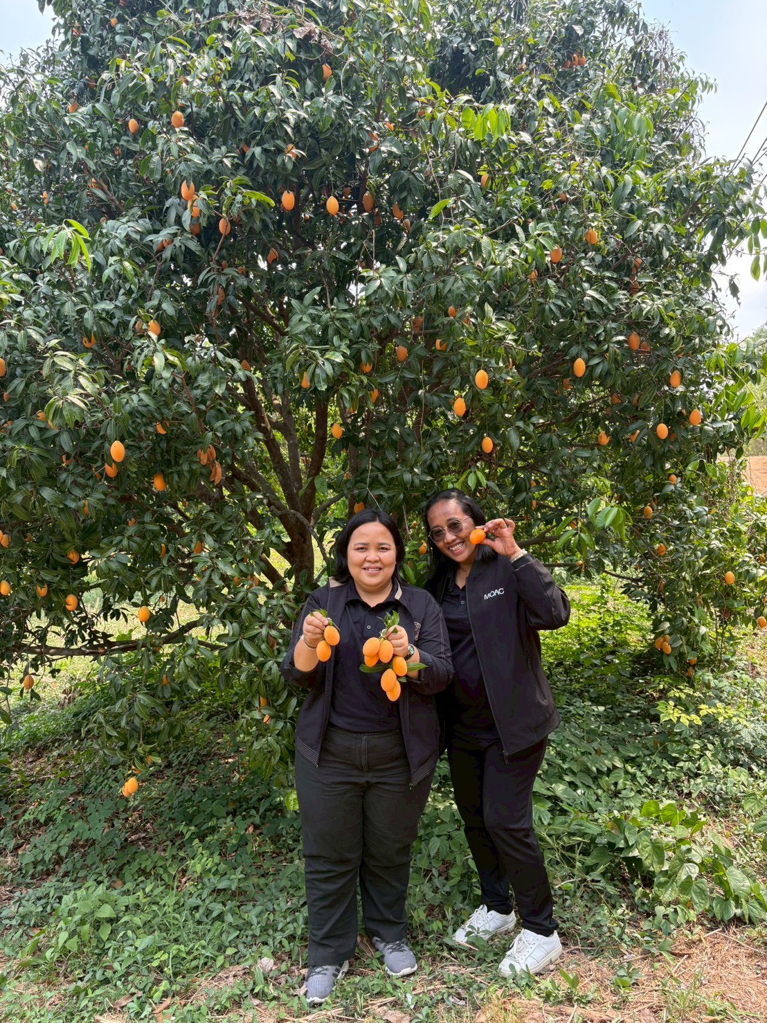 title - ส.ป.ก.นครปฐม จัดโครงการที่ดินพระราชทานในเขตปฏิรูปที่ดินจังหวัดนครปฐม ปีงบประมาณ พ.ศ. 2569 หลักสูตร การจัดการที่ดินและระบบการผลิตที่มีประสิทธิภาพ เพื่อเพิ่มโอกาสด้านการท่องเที่ยว ระยะที่ 3